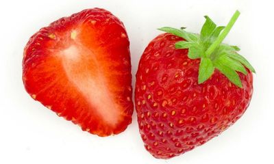 Distillers lift UK growers’ spirits with summer fruit tipples