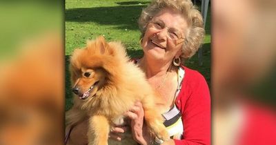 Tributes paid to much-loved dinner lady who was always out and about with her beloved Pom