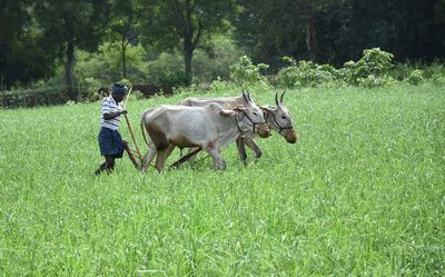 Campaign to increase farmer enrollment for Kisan Samman Yojana