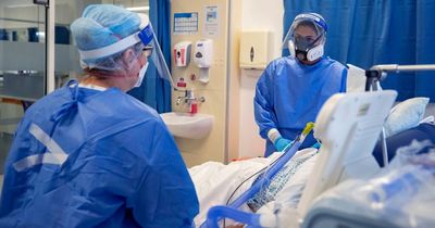 Only 29% of people hospitalised with Covid make full recovery in a year, study finds