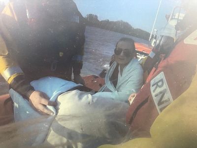 Lifeboat crews rescue 16 people and three animals after boats run aground