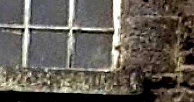Paranormal Investigators share chilling snap of what appears to be ghost of child in abandoned Asylum in Co Clare