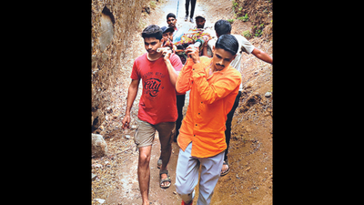 Pune: Woman escaping bees falls into gorge, rescued