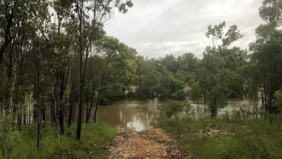 Stranded travellers now in second week in remote Cape York, as wet weather cuts road access