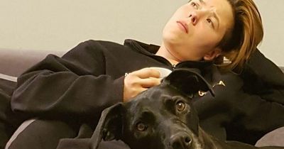 Dublin woman warns 'someone could be killed' after vicious dog attack