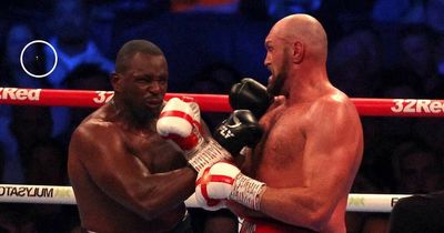 Dillian Whyte 'lost tooth' from brutal uppercut KO from rival Tyson Fury