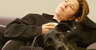 Dublin woman injured in vicious dog attack warns 'someone could be killed'