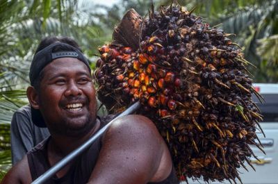 Palm oil soars on Indonesia ban in risk to global food inflation
