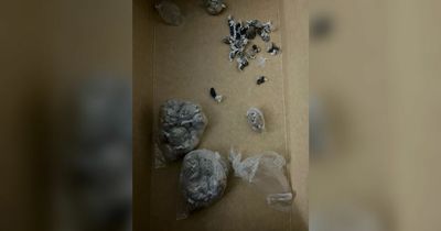 Woman, 62, arrested after three hundred wraps of heroin found