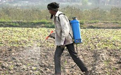 Natural farming need of the hour, says NITI Aayog CEO Amitabh Kant