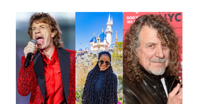 Robert Plant, Janet Jackson and Mick Jagger and the allure of accountancy