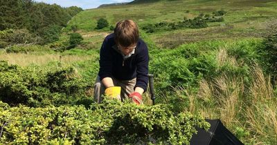 Guide to North East distilleries you could discover this summer