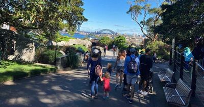 Edinburgh family 'forced to get a boat home' from holiday after flight chaos