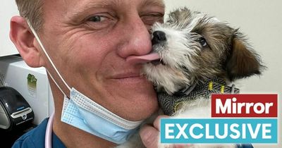 Wagging tail doesn't always mean your dog is happy, says expert