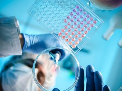 Why Sunshine Biopharma Stock Is Surging