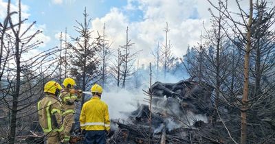 Plea to protect Northumberland's countryside following significant wildfire near Morpeth