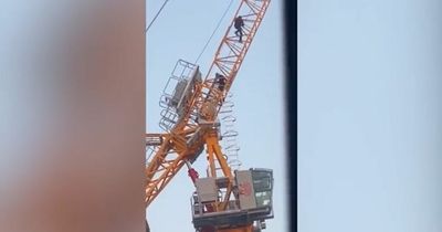 "Somebody will end up dead": Shocking video shows boys climbing on CRANE at Salford housing development