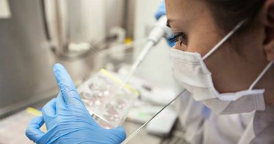 IVF treatment to be funded by State