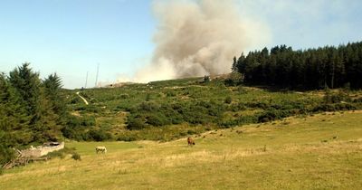 Orange-level fire alert as Met Eireann weather forecasts dry week for Dublin