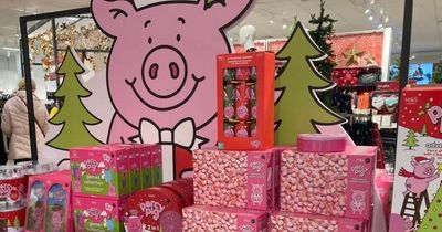 Marks and Spencer launches 'gamechanger' Percy Pig product