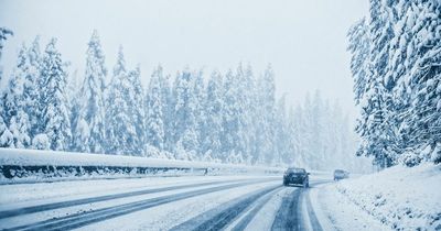 Woman survives six days trapped in car - eating snow and six-pack of yoghurt