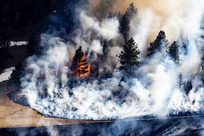 Wildfire season has started early and already killed at least 1 person