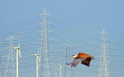 Rajasthan faces spike in demand for power