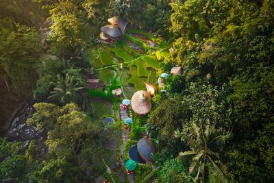 10 best hotels in Bali for wellness breaks to rural escapes