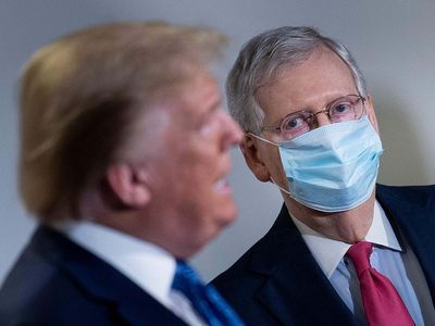 McConnell called Trump 'despicable' and was 'exhilarated' that he 'discredited himself', new book claims