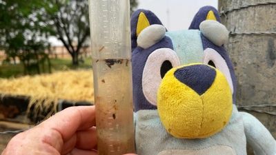 BOM says wet Queensland outback weather set to spread to parts of SA, NSW and Victoria as cold fronts hit WA