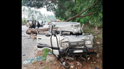 Cabbie, minor son die as tree falls on car on Mysuru-Bengaluru highway