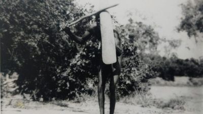 Aboriginal shield returned to country 60 years after croc hunters 'collected' it from banks of Mitchell River