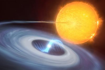 The supernova's tiny counterpart