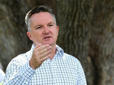 LNP must clarify net-zero pledge: Labor