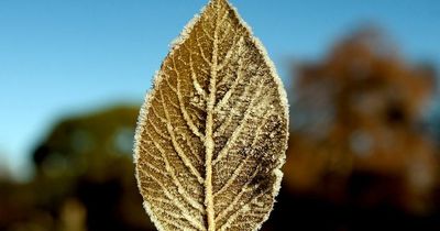 Met Eireann weather forecast chilly conditions with subzero temperatures for Dublin