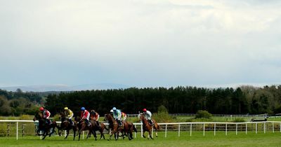 Punchestown Festival 2022 day 1 full race card and tips - list of runners Tuesday