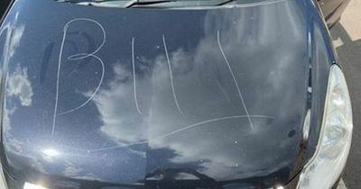 Vandals trash cars in wrecking spree - with 'f*** u' etched on the side of one