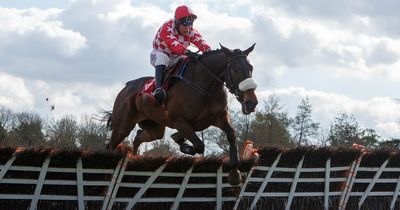 Punchestown Festival 2022 tips: Robbie Power's selections for day one