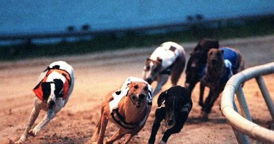 Future of Lanarkshire dog track debated by Scottish Parliament committee