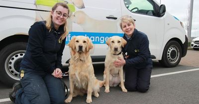 Mother and daughter continue family's 61-year legacy training guide dogs
