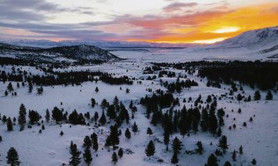 Woman rescued after surviving in a forest for six days on yogurt and snow