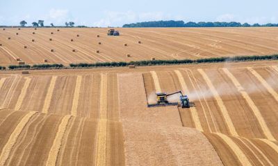 Farming push to delay eco-friendly subsidies risks net-zero target – report