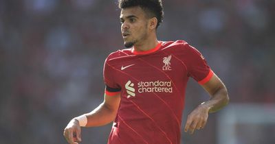 Luis Diaz "not a big signing" for Liverpool as transfer difference to Man City hailed