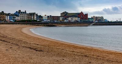 Brits caught walking their dog on popular beach could face eye-watering £1,000 fine