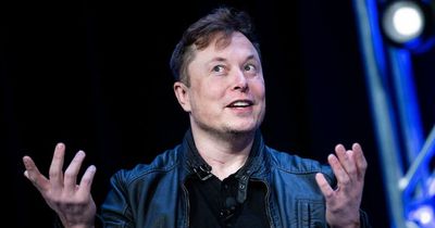 5 ways Elon Musk could change Twitter - from edit button to blue ticks for all