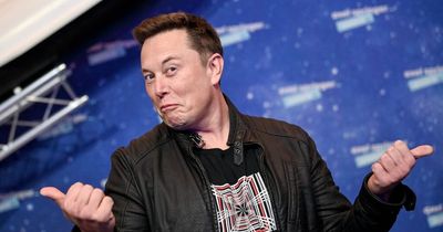 Elon Musk 'won't be arrested' in UK even if Twitter buyer pursues free speech at all costs