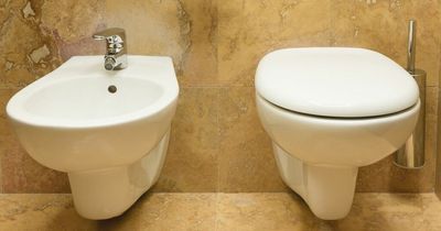 New guide explains how to use foreign toilets
