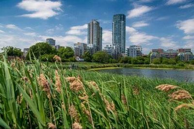 Woodbury Wetlands project shortlisted as one of best new places to live