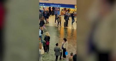 Watch rail traveller get a surprise proposal at Euston station