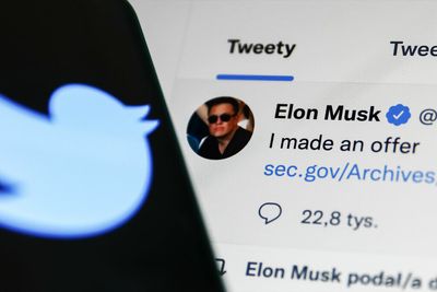 Will Elon Musk free us from Twitter?